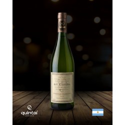 D.V. Catena Chardonnay