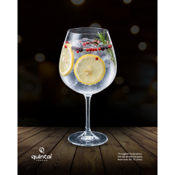 GIN TÔNICA