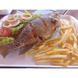 peixe tilapia c/ fritas
