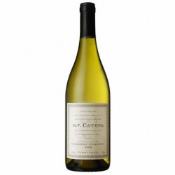 DV CATENA CHARDONNAY