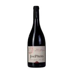 JOSE PITEIRA TINTO