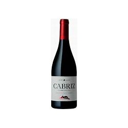 CABRIZ COLHEITA