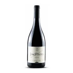 JOSE PITEIRA TINTO