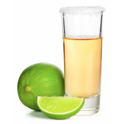 TEQUILA TEQUILERO (DOSE)